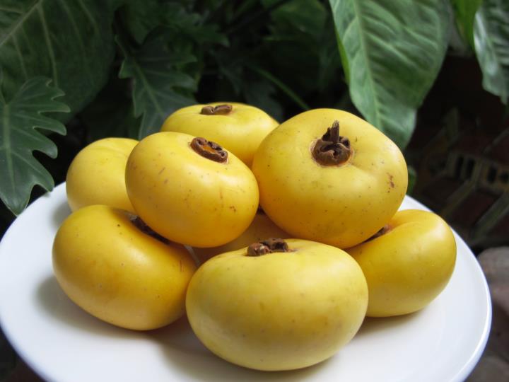 3 Bí quyết trị nám da bằng phương pháp dân gian vừa tiết kiệm chi phí vừa cực an toàn cho làn da