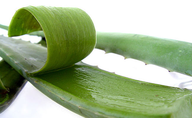 4 cách sử dụng nha đam hiệu quả cho việc chăm sóc làn da