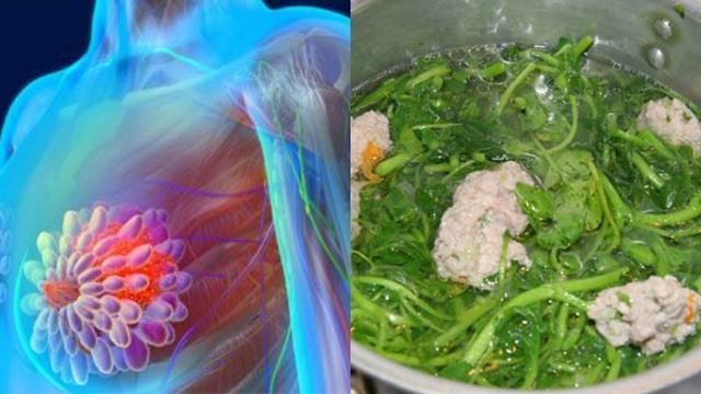 Đây chính là loại rau giúp các chị thoát khỏi án tử của ung thư cổ tử cung và ung thư vú, đã được khoa học chứng minh rồi các chị ơi!