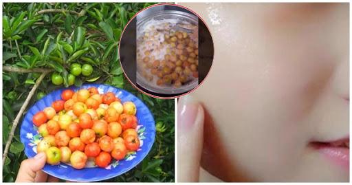 Khoa học công bố: Quả sơ ri có hàm lượng vitamin C gấp 40 lần cam, chanh, chống lão hóa, giảm cân thần tốc
