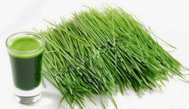 Cách phòng tránh sốt mọc răng cực hay áp dụng cho bé 3 tháng 10 ngày tuổi