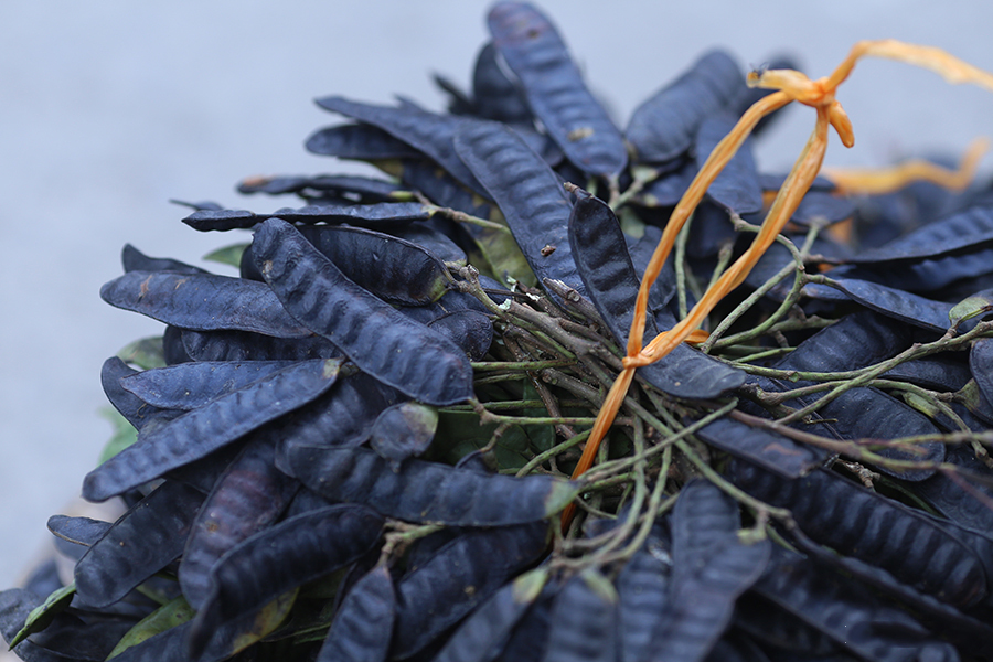 4 loại dầu gội thảo dược Việt Nam “xịn sò” chẳng kém gì hàng ngoại