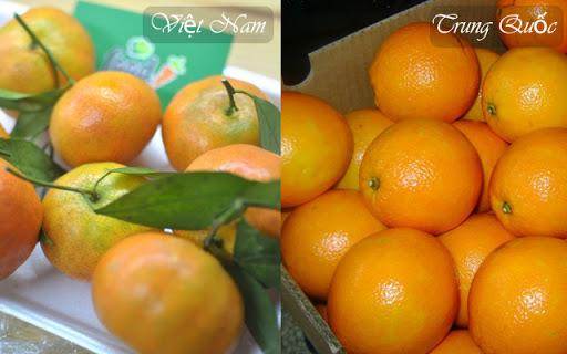 Chỉ bạn cách phân biệt cam Việt Nam và cam Trung Quốc chuẩn 100&permil;
