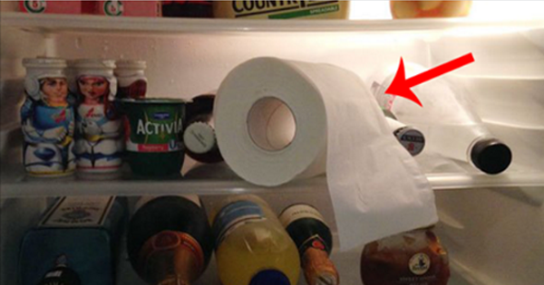 Để 2 cuộn giấy vệ sinh vào tủ lạnh, bạn sẽ muốn mình biết mẹo này sớm hơn