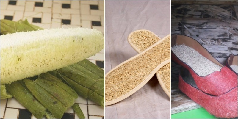 Mẹo trị hôi chân hiệu quả tại nhà giúp bạn nhanh chóng lấy lại sự tự tin, thoải mái