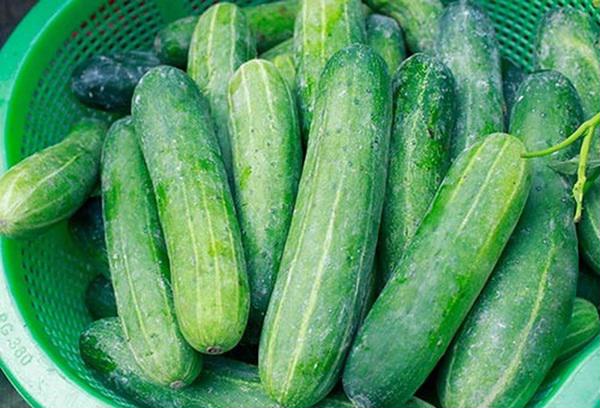 5 thực phẩm càng ăn da càng đẹp, dáng càng xinh, hơi thở vẫn thơm tho suốt cả ngày