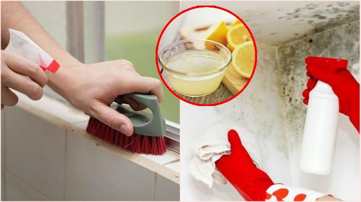 Cách tiêu diệt nấm mốc cực hiệu quả, giúp nhà luôn thoáng mát, sạch sẽ và thơm tho