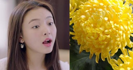 “Anh định cho tôi lên bàn thờ ngồi ngắm gà khỏa thân nên mới tặng hoa cúc ngày 8/3 chứ gì?”