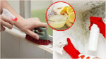 Cách tiêu diệt nấm mốc cực hiệu quả, giúp nhà luôn thoáng mát, sạch sẽ và thơm tho