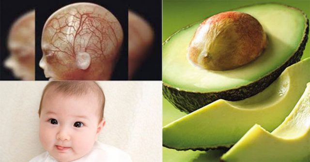 Ăn BƠ vào mùa nhất là 3 thời điểm này sẽ truyền nhiều DƯỠNG CHẤT cho thai nhi, giúp NGĂN NGỪA DỊ TẬT hiệu quả