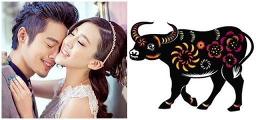 Đàn bà thuộc 3 con giáp này luôn chiếm thế “thượng phong” trong gia đình, đảm đang, tháo vát, được ông xã kiêng nể