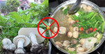Những loại rau TUYỆT ĐỐI KHÔNG nhúng lẩu kẻo vừa ăn xong đã vội nhập viện