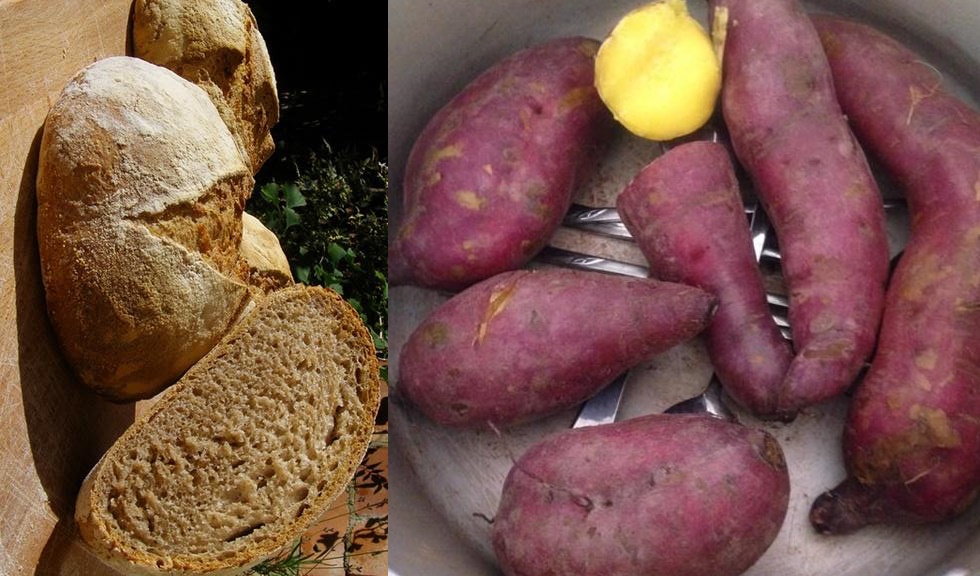 Thay phiên ăn khoai lang và bánh mì vào buổi sáng liên tiếp trong 7 ngày, cô gái giật mình khi giảm đến 10kg