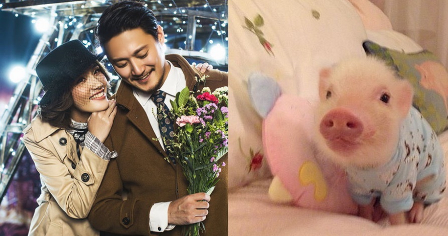 Top 3 con giáp này chính là báu vật của chồng vì vừa chiều chồng lại chăm con siêu giỏi