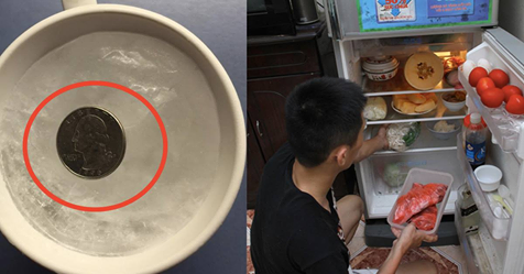 Đây là lý do trước khi đi chơi xa phải bỏ đồng xu vào tủ lạnh?