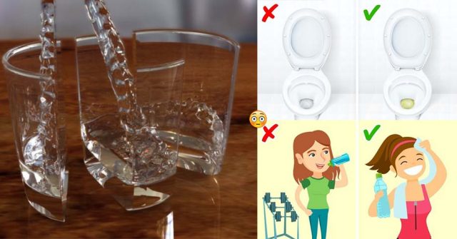 Tuyệt đối KHÔNG UỐNG NƯỚC vào những THỜI ĐIỂM này kẻo tốt đâu không thấy, chỉ thấy HỐI HẬN vì tự rước khổ vào thân