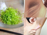 Xóa mờ thâm, trị hôi nách triệt để ngay chỉ nhờ một nhúm bột vỏ chanh