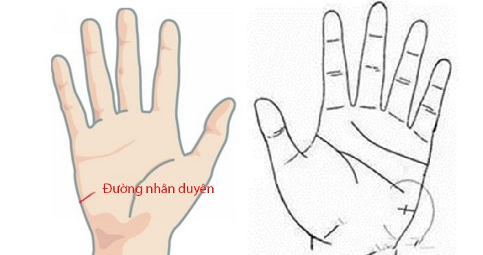 Nếu bạn có tướng tay như thế này, xin chúc mừng bạn sẽ có nhân duyên tốt và không ít quý nhân phù trợ