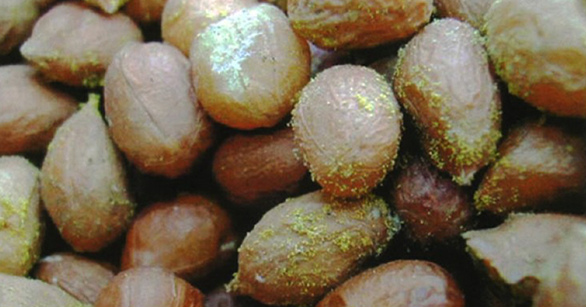 2 Thực Phẩm Hại Gan Kinh Khủng Nhất Chuyên Gia Khuyên Bạn Tuyệt Đối Không nên dùng