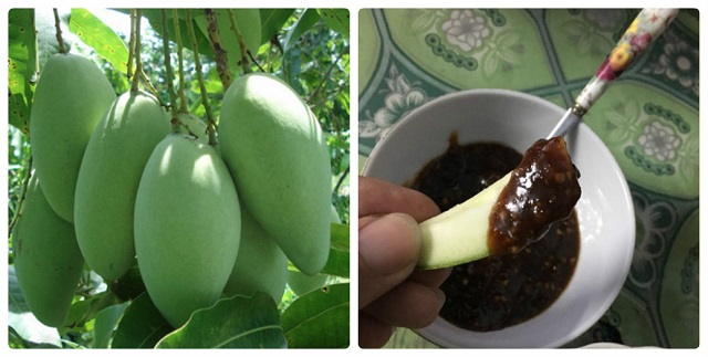 Chị em da đẹp, eo thon, mãnh liệt chăn gối nhờ ăn xoài mỗi ngày