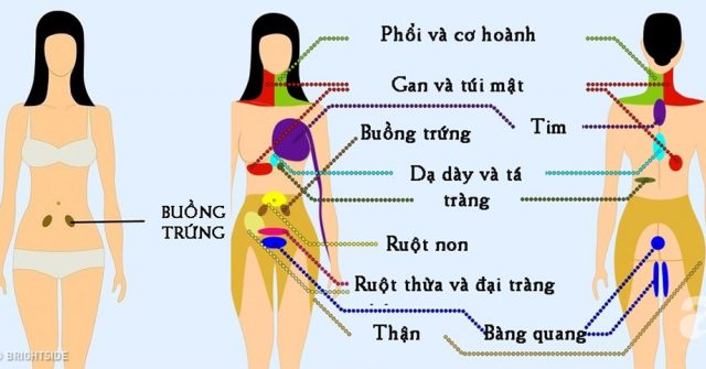 9 vị trí trên cơ thể nếu ĐAU phải CẨN TRỌNG bởi dễ mắc nhiều BỆNH không ngờ