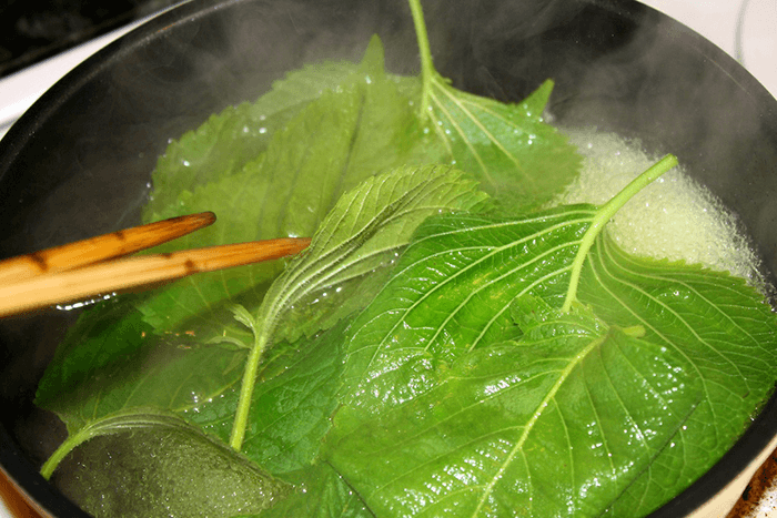 Lá tía tô chấm dứt cơn đau GÚT sau 30 phút khiến nhiều người bất ngờ