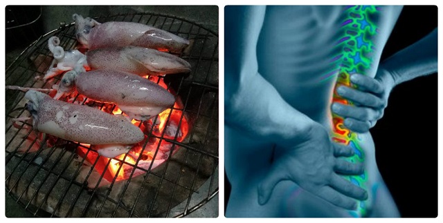 3 món ngon và 8 công dụng chữa bệnh của mực biển, chị em nên biết