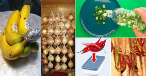 13 cách giữ thực phẩm TƯƠI RÓI – TƯƠI LÂU đơn giản vô cùng, lúc nào cũng thơm ngon như mới mua