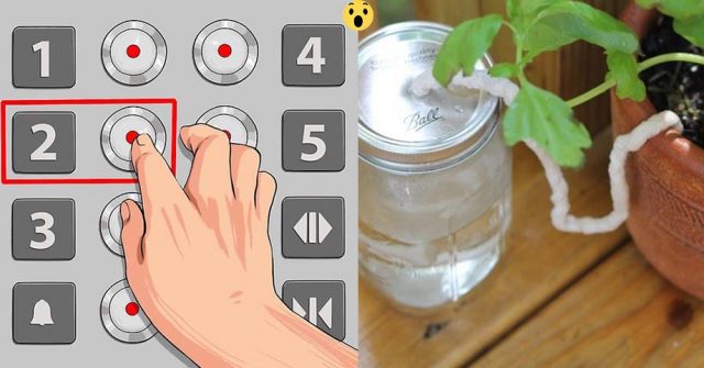 10 mẹo vặt THÔNG MINH giúp bạn tiết kiệm được cả đống thời gian mà 90&permil; mọi người đều BẤT NGỜ khi biết