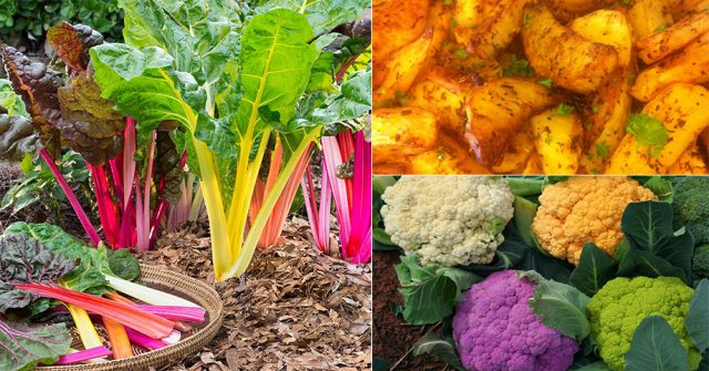 Bất ngờ 8 loại rau nhiều chắt SẮT hơn cả thịt lại giúp đẹp da, đẹp tóc, đẹp dáng và trẻ lâu!