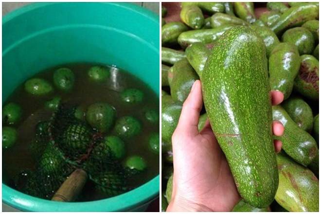 Cách đơn giản để nhận dạng bơ bị ép chín bằng hóa chất