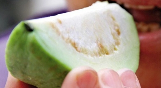 7 loại bệnh chỉ cần ăn ổi là khỏi, không cần đi bác sĩ tốn tiền