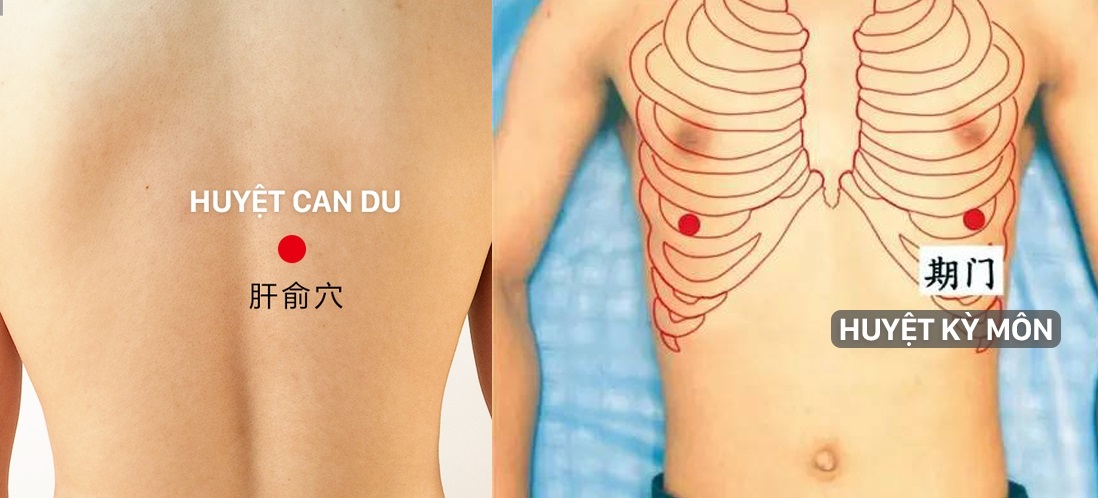 Để tinh thần luôn sảng khoái, gan thận khỏe mạnh, hãy bấm 4 huyệt vị trên cơ thể mỗi ngày