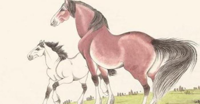 Gặp thời thế thuận lợi, 4 con giáp muốn NHÀ được NHÀ, muốn XE có XE giàu có hơn người từ tháng 4/2018 trở đi