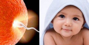 Chị em ơi, sinh con trai dễ hơn con gái gấp nghìn lần – đây là bí quyết để có cậu ấm cho nhà mình nè