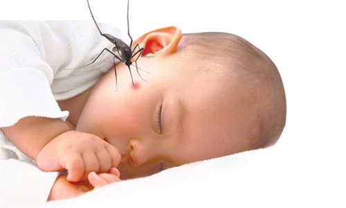 Bà mẹ trẻ chia sẻ tuyệt chiêu đuổi muỗi sạch bay, bảo vệ con yêu trong mùa dịch sốt xuất huyết