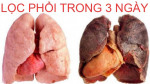 Cách lọc sạch phổi trong 3 ngày, thậm chí người hút thuốc 40 năm cũng sạch