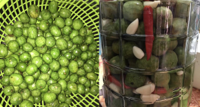 Mẹ 2 con Hà Nội mách công thức sấu ngâm mắm tỏi ớt siêu hot, làm một lần ăn cả năm