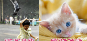 Nếu có những dấu hiệu dưới đây thì thần tài may mắn sắp gõ cửa nhà bạn rồi đó