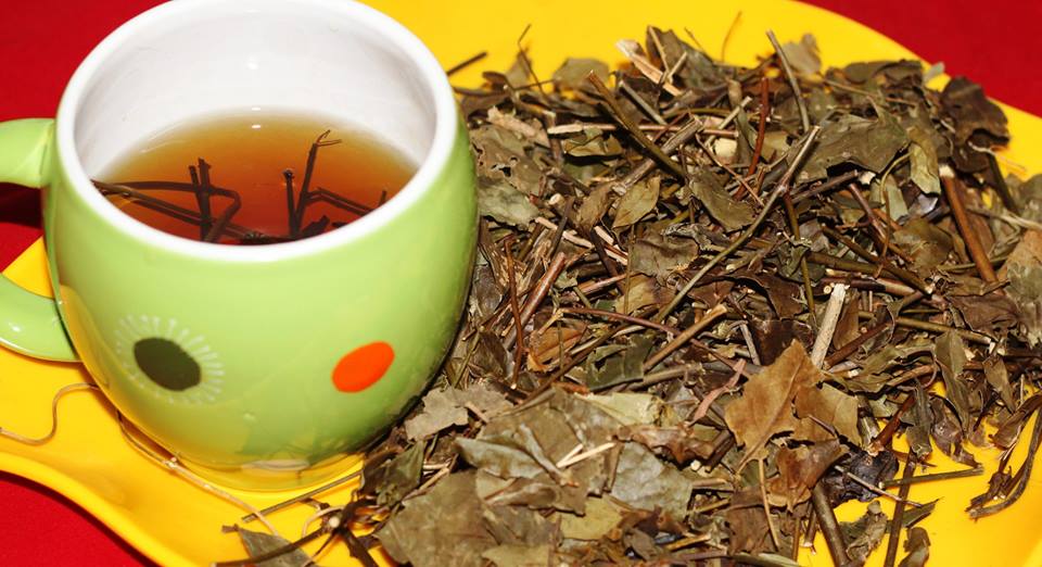 Mẹo giảm cân nhanh bằng nước chè vằng chị em nào cũng nên áp dụng