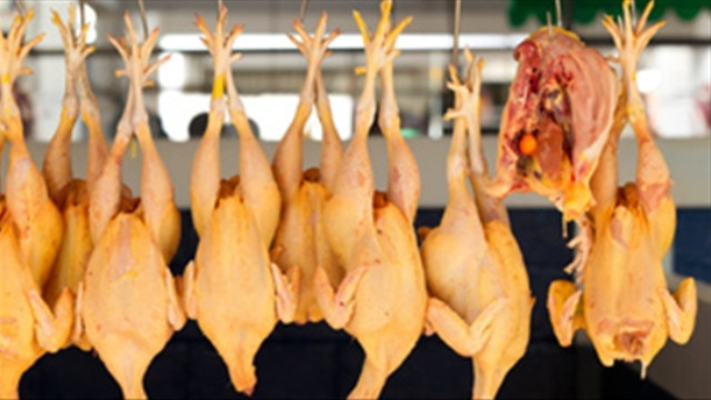 Phân biệt gà ta và gà thải từ Trung Quốc