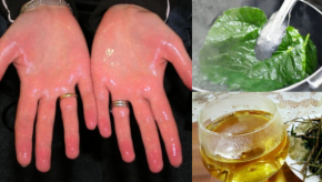 Ai bị mồ hôi tay, chân cứ lấy dùng lá lốt + muối trắng là khỏi tiệt, chính em đã thử rồi