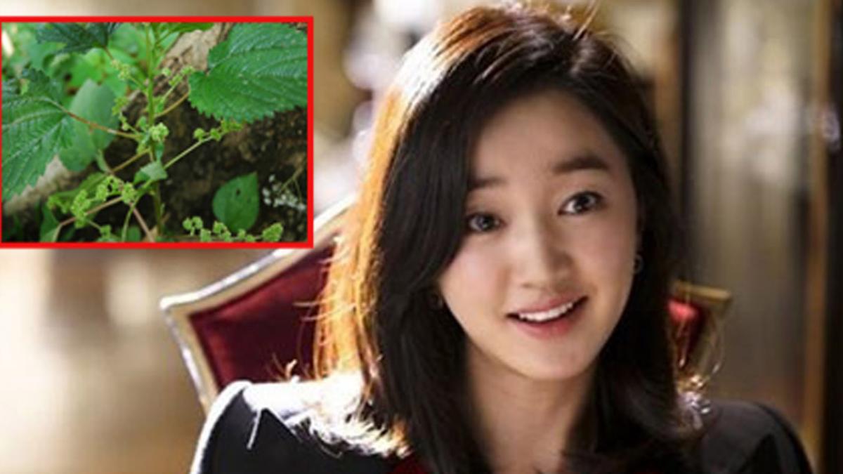 Bà vợ “đỉnh” nhất năm: Biết chồng ngoại tình, chỉ dùng một nắm lá mà khiến chồng hãi tới già