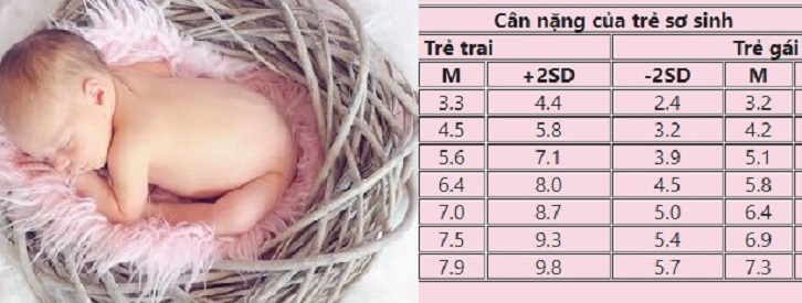 BẢNG CÂN NẶNG Của Trẻ Sơ Sinh Từ 0 – 6 Tháng Tuổi Năm 2018 theo chuẩn WHO, bố mẹ cùng tham khảo