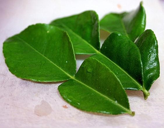 Chẳng cần thuốc thang đắt tiền, chỉ cần lá chanh là có thể đánh bay 10 bệnh này