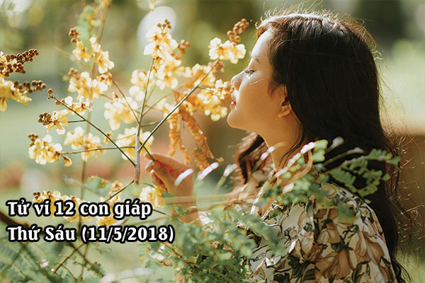 Tử vi 12 con giáp trong ngày 11/5/2018
