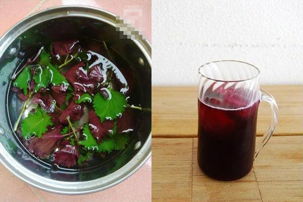Nấu nước lá tía tô tươi với mật ong uống trước bữa ăn, điều &rsquo;kỳ diệu&rsquo; sẽ đến sau 7 ngày