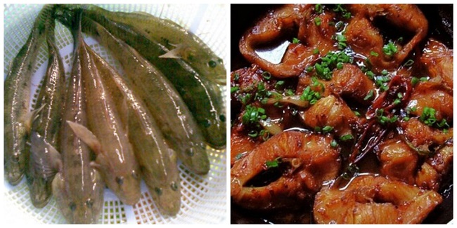 3 loại cá quen thuộc nhiều vitamin giúp con thông minh, IQ tăng vù vù, mẹ biết rồi thì mua ngay để bổ sung cho con không lại tiếc hùi hụi đấy