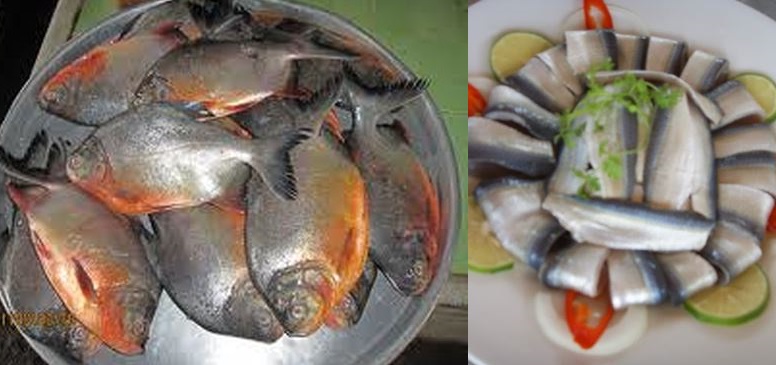 Khoa học đã công nhận đây là 4 loại cá này bổ hơn sâm, tốt cho não và tim gấp 10 lần thịt