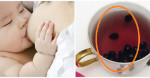 Cốc nước tự làm kích thích tuyến sữa, mẹ uống vào sau 30 phút là ngực căng cứng, con bú no kễnh bụng vẫn chưa hết 1 bên vú